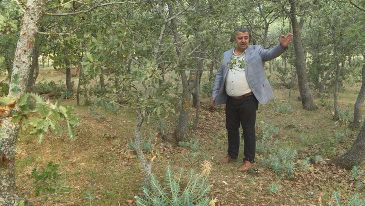 son-dakika-99-yillik-buyuk-aci-83-turkun-mezar-yerleri-bulundu-1592315251621.jpg Son dakika: 99 yıllık büyük acı! 83 Türk'ün mezar yerleri bulundu... - 3