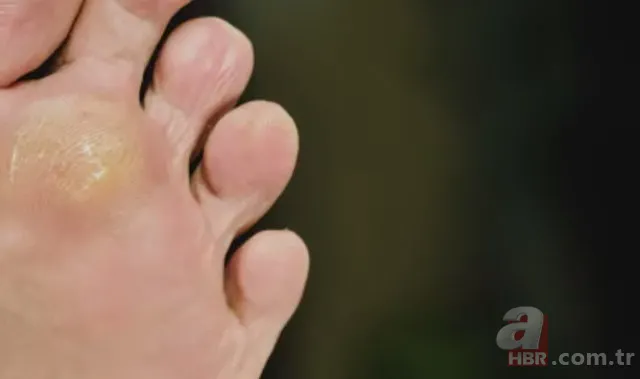 Kurban etinden Adana kebap tarifi! Ustası A Haber’e anlattı, işte o tarif 72