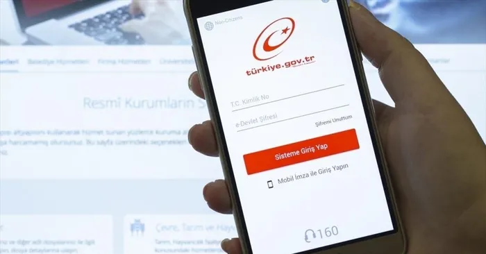 Son dakika: Cumhurbaşkanlığı açıkladı! e-Devlet'te ilk kez olacak - 2