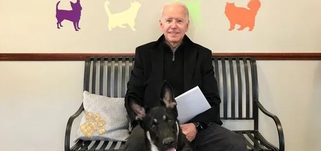 Joe Biden köpeğiyle oynarken düştü: Detaylı bir muayeneden geçirilecek