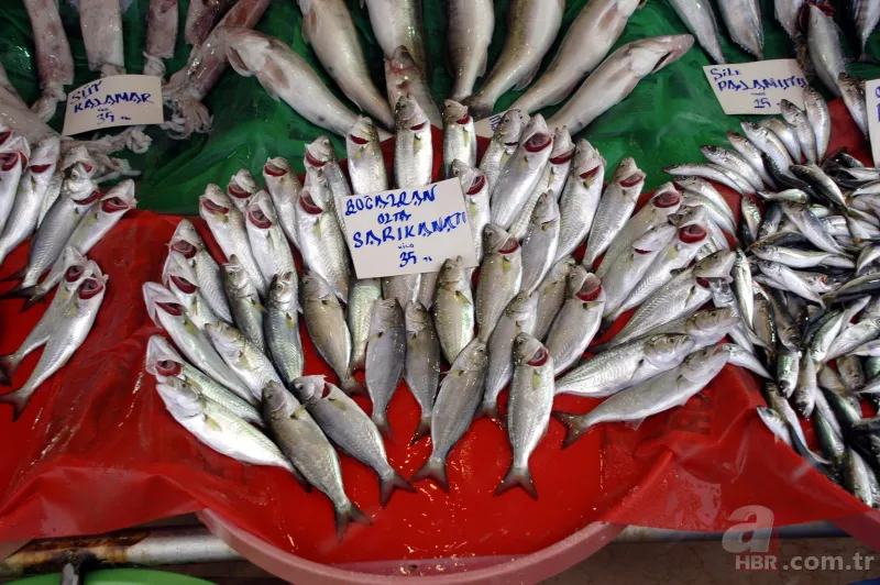 Balık fiyatları ne zaman düşer | Halden tezgaha bölge bölge fiyatlar değişiyor 6
