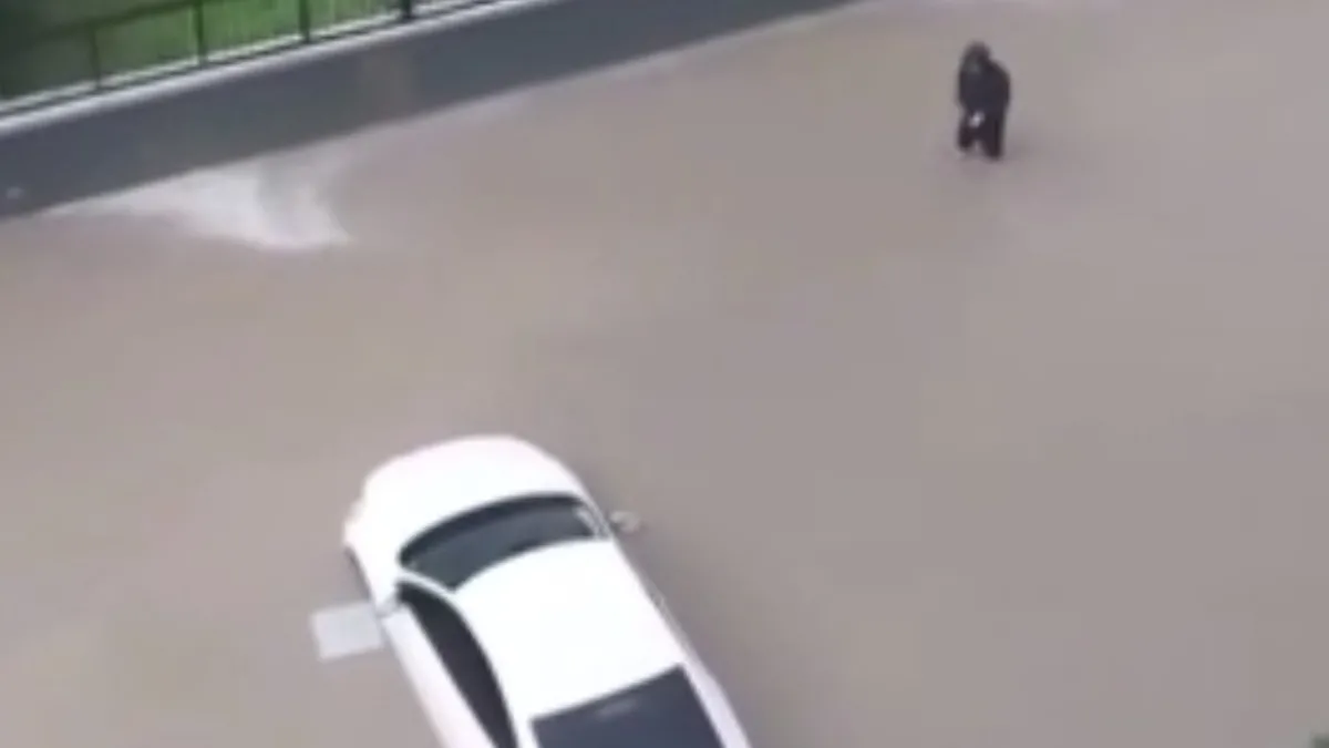 Tekirdağ'da sağanak köprü altları göle çevirdi! Araçlar suya gömüldü