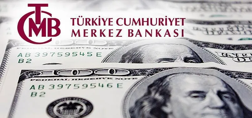 Merkez Bankası'ndan döviz hamlesi