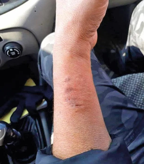 DBP’li Salihe Aydeniz’in dokunulmazlığının kaldırılmasını içeren rapor Genel Kurulun gündemine sunuldu