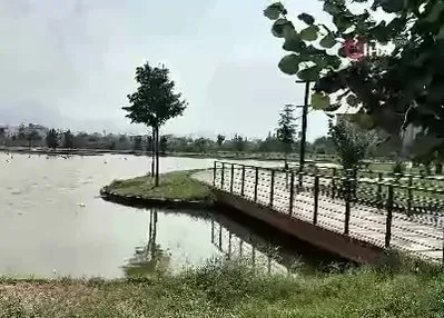 Iğdır’da kavurucu sıcaklar etkili oldu