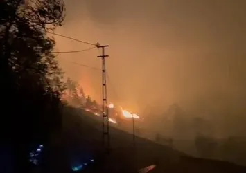 Trabzon'da şiddetli fırtına yangınlara neden oldu! Ekipler bölgeye sevk edildi
