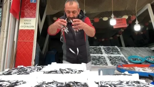 Hamsi fiyatları ne kadar oldu? Tezgahlardaki yerini aldı