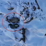 Drone ile görüntülerken şans eseri yakaladı!