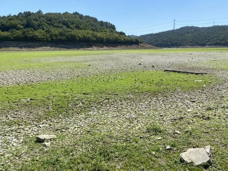 İstanbul’da su krizi! Alibeyköy Barajını besleyen gölette mandalar otluyor