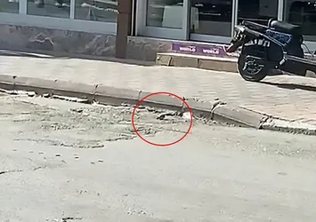 Adana'da yol kenarında el bombası bulundu
