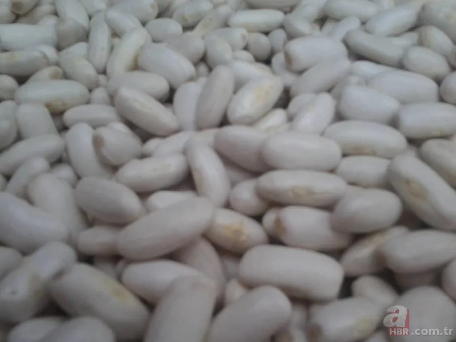 Mucize besinlerle kilolardan kurtulun 9