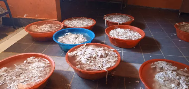 Vatandaşın sağlığıyla oynuyorlar! Mersin’de mide bulandıran görüntü | Hepsi imha edildi