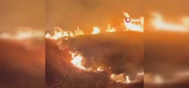 Çırçır Tepesi'ndeki yangın korkuttu