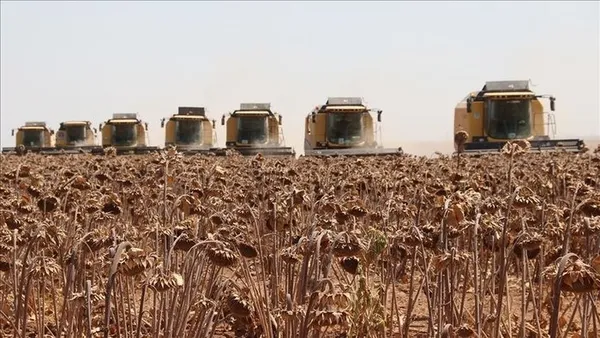 Son dakika: Tarımda tarihi rekor! Cumhuriyet tarihinin en yüksek ihracat rakamı