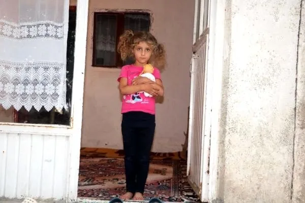 Hakkari'de yılan korkusuyla terk ettikleri evlerine geri döndüler - 4