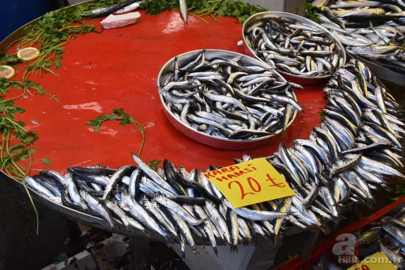 Uzmanlardan hamsi uyarısı! "1 yıl avlanmasın..." 2