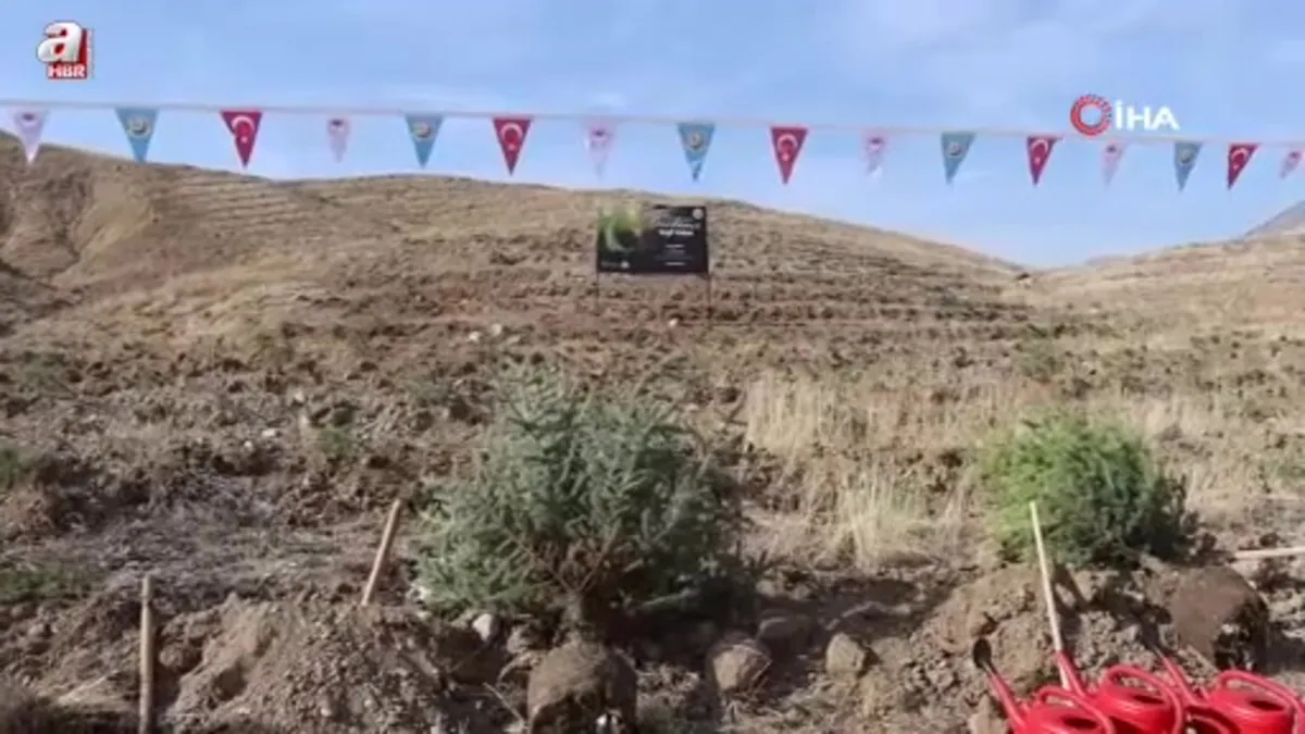 Erzurum’da 3 bin fidan toprakla buluştu