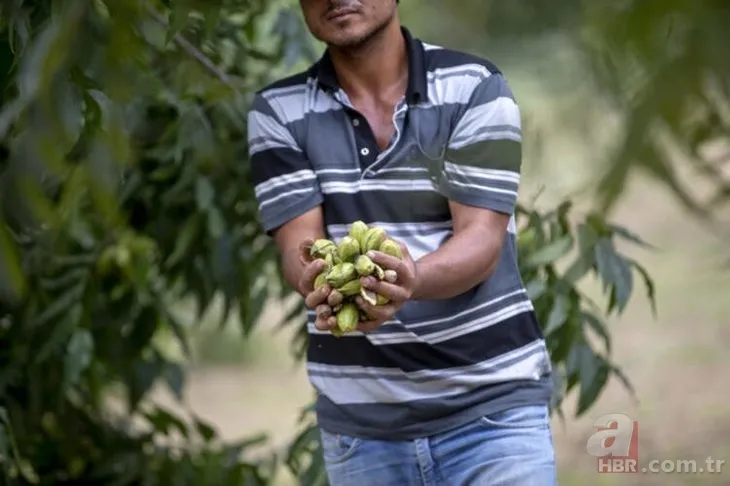 Öyle bir iş kurdu ki paraya para demiyor! Bu iş için mühendisliği bıraktı! Çok basit... 8