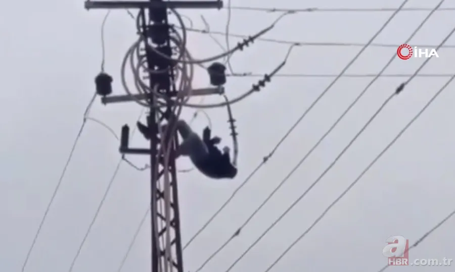 Elektrik direğine çıktı! Saniyeler sonra dehşeti böyle yaşadı 7