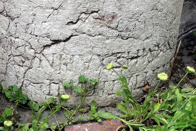 Roma döneminden kalan sütun, bahçe duvarında kullanıldı - 1