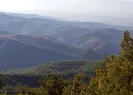 Kaz Dağları nerede? İşte Kaz Dağları gerçeği…