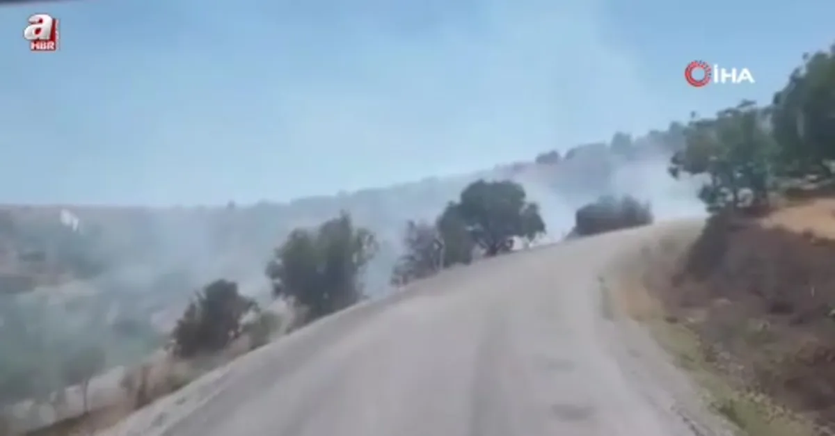 Yozgat'ta makilik alanda yangın