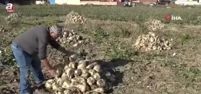 Kütahya'da pancar sökümü mesaisi başladı