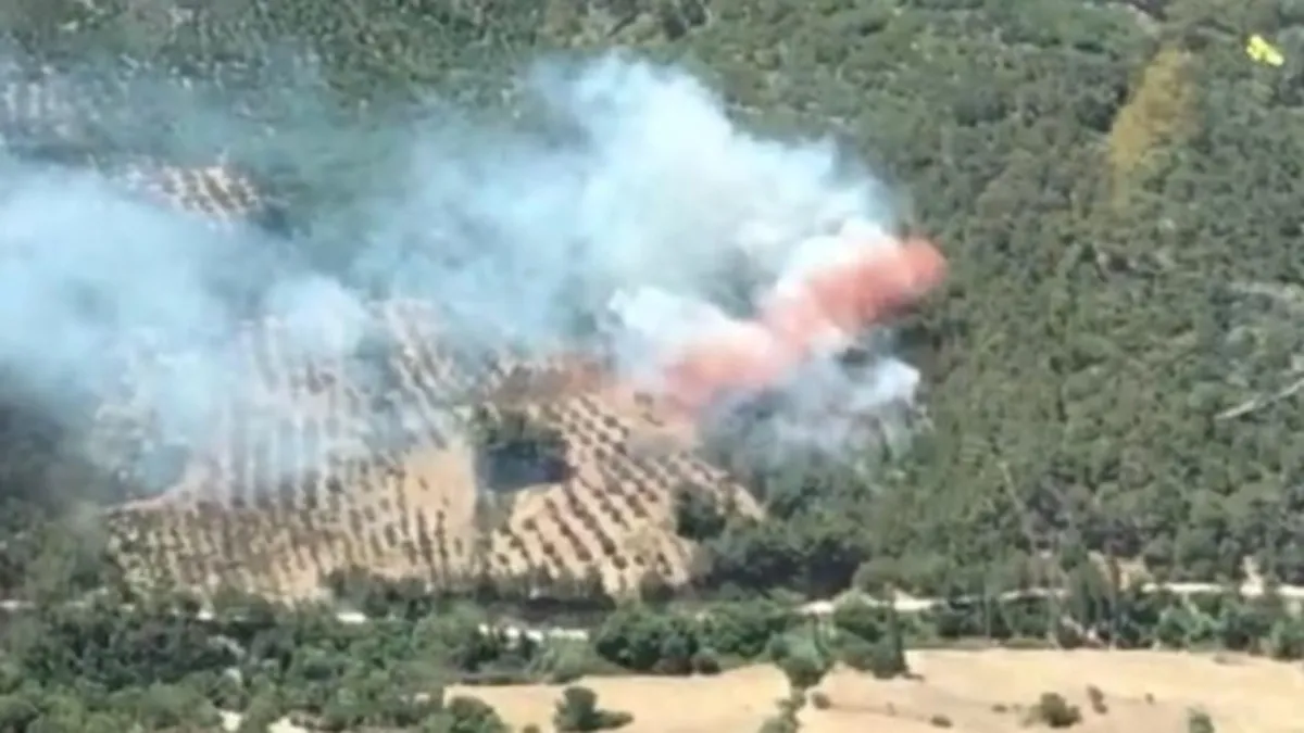 İzmir'de 2 noktada yangın! Alevlerle havadan ve karadan mücadele | Bir mahalle boşaltıldı