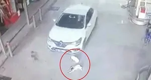 Vicdanları sızlatan görüntü!