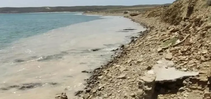Deniz salyası paniği! Yunanistan'a da sıçradı