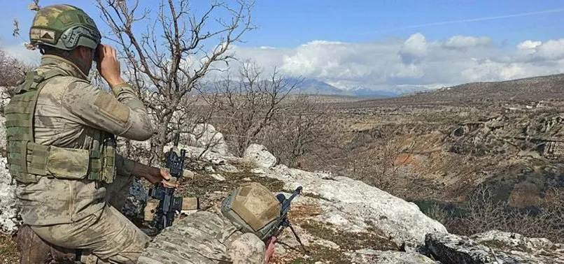 Son dakika: Diyarbakır’da PKK’ya Eren Kış-27 darbesi