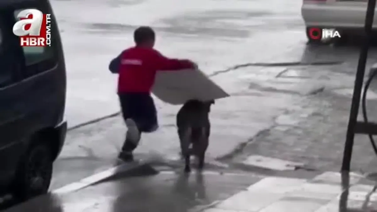 Yağmurda köpeği ıslamaktan koruyan Ayaz o anları anlattı
