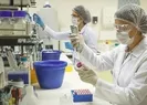 Zorunlu PCR testi ne zaman başlayacak?