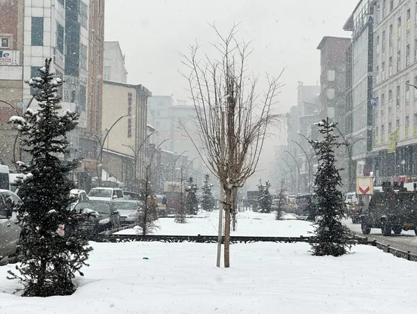 İstanbul'a kar geliyor! Meteoroloji'nin 5 günlük haritasına yansıdı | Soğuğun devamı lapa lapa kar - 16