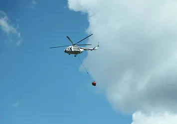 Son dakika: İstanbul'da orman yangını! Helikopterler müdahale etti