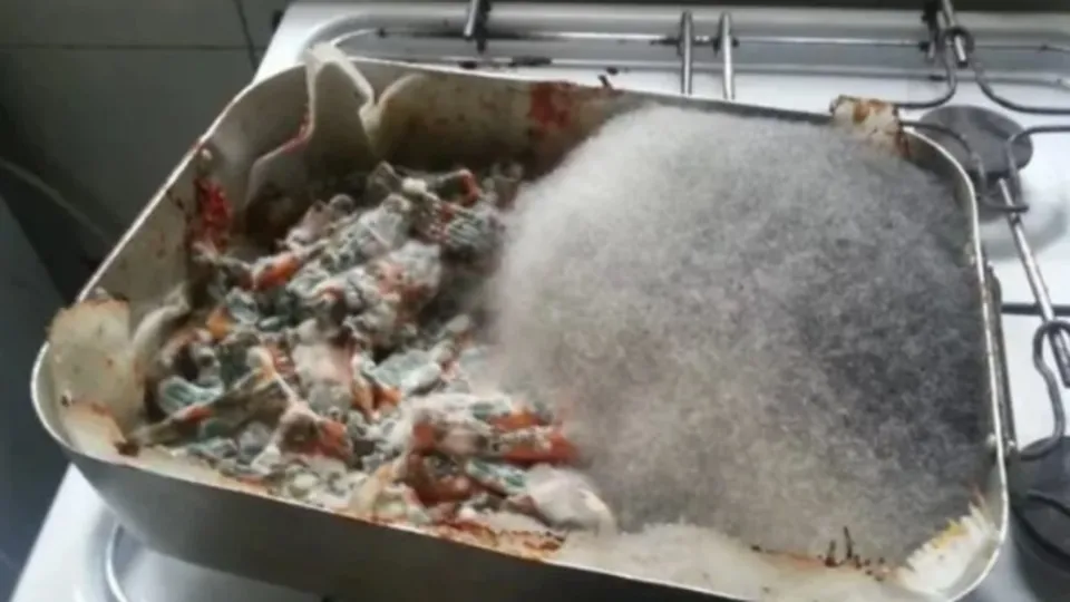 İğrenç görüntüler! Görenlerin midesini bulandırdı...