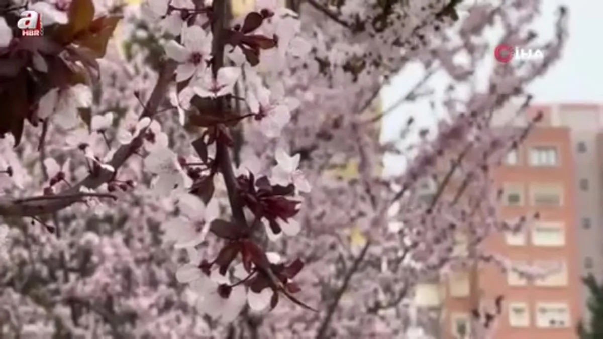 Konya'da kar hububatta sevindirdi