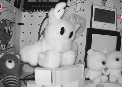 6,7 büyüklüğünde deprem: Tsunami uyarısı yapıldı