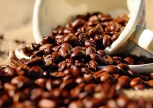 40 bin kişilik dev araştırma: Herkes yanlış biliyormuş! Ölüm riskini azaltan kahve saati ortaya çıktı