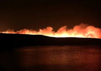 İzmir'de otluk alanda yangın çıktı