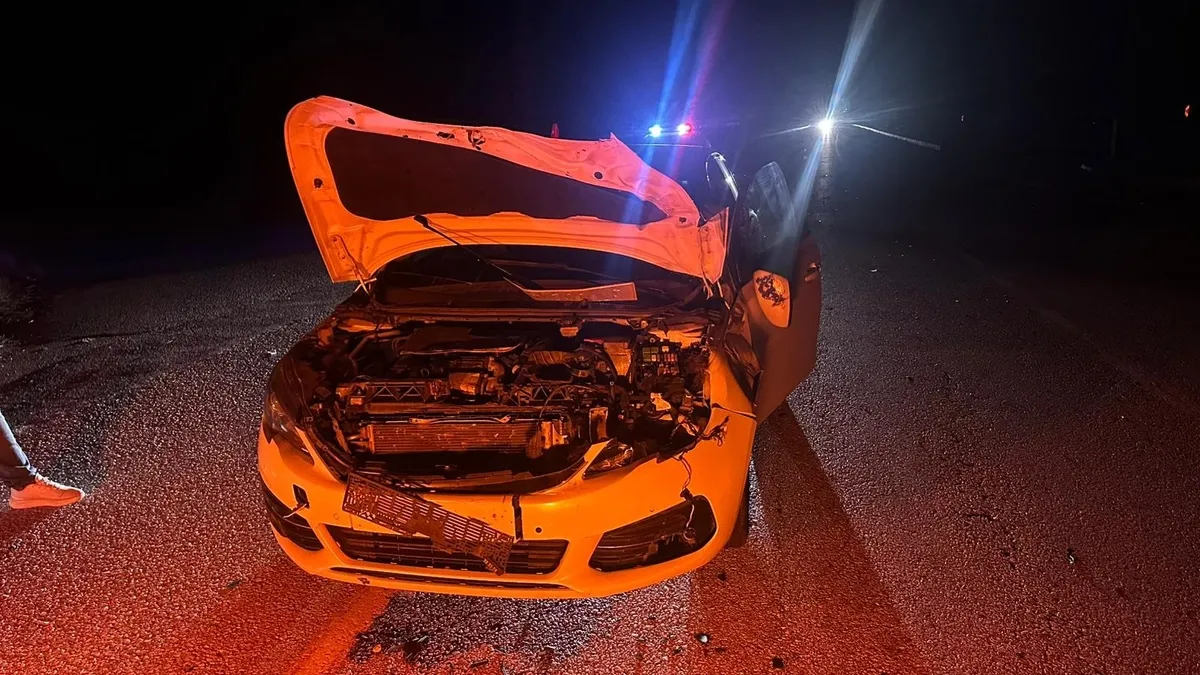 Danaya çarpan otomobildeki 2 kişi yaralandı