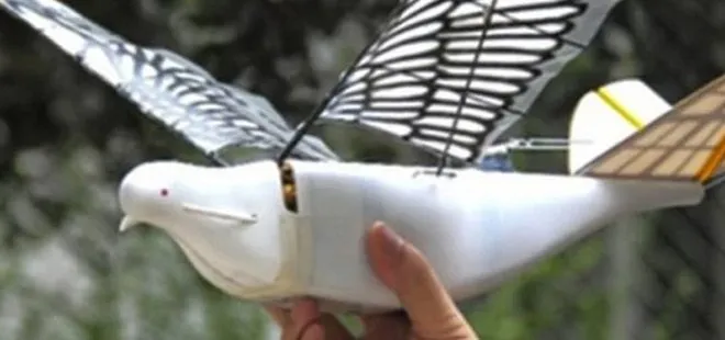 Yeni nesil robot kuşlar göreve başladı