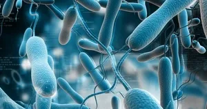 O ülkede kolera salgını: 25 ölü