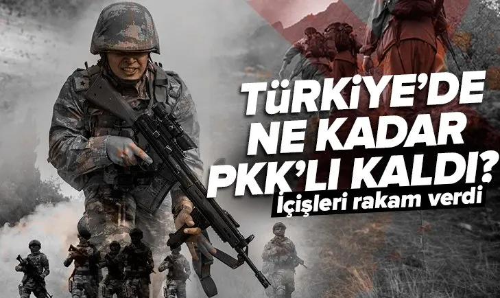 Bakan duyurdu! Türkiye’de ne kadar PKK’lı kaldı?