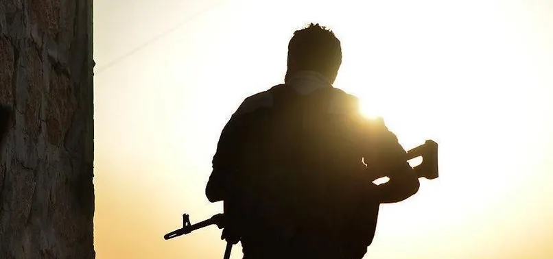 Fırat'ın doğusuna yapılacak operasyona önemli destek