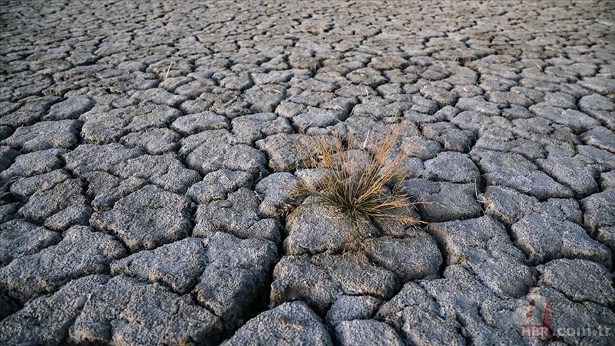 İklim Kanunu yasası Meclis'ten geçti mi, son durum ne? İklim kanunu nedir ve içeriği neler? 5