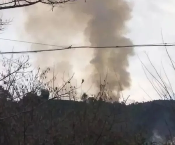 Karadeniz'de peş peşe yangın çıktı! 4 ilde 23 noktada alevler yükseldi - 3