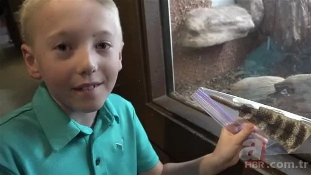 Otomobilde yılan paniği 10