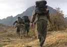 PKK ne zaman silah bırakacak?