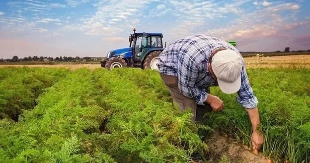 Kuraklık desteği ödemeleri ne zaman yatacak? Aralık ayı kuraklık destek ödemesi ayın kaçında yatacak? Başkan Erdoğan müjdeyi verdi... - 1